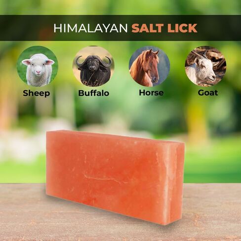 Himalayan Salt Lick Block for Horses, Deer-, Goats, Cattles & Cows | Pack of 2, Pink Salt Licks for Animals, Licking Salt Brick Packed with Minerals in Saudi Arabia