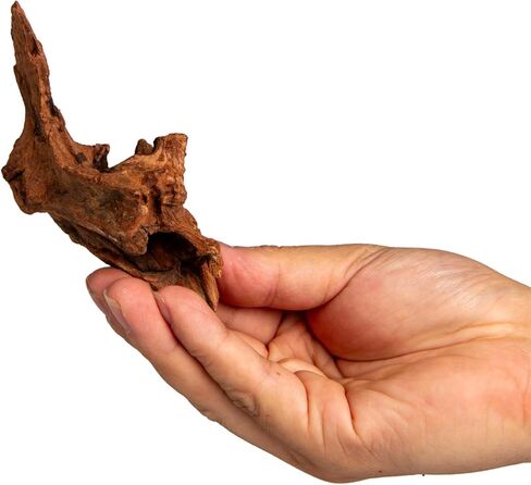 emours Small Aquarium Driftwood، 4–6"، فروع ملتوية طبيعية، منخفضة التانين، رائعة للروبيان/بيتا ونانو أكواسكابس، وأيضًا لمرابيات الزواحف (10) in Kuwait