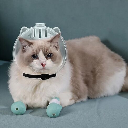 Cat Muzzle for Grooming Breathable Cat Muzzle Helmet Adjustable Hood Anti Bite Muzzles for Pet Bathing,Taking Injections(Color:Clear) in Saudi Arabia