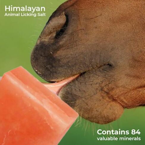 Himalayan Salt Lick Block for Horses, Deer, Goats, Cattles & Cows Pack of 4 - Pink Salt Licks for Animals, Licking Salt Brick Packed with Minerals in Saudi Arabia