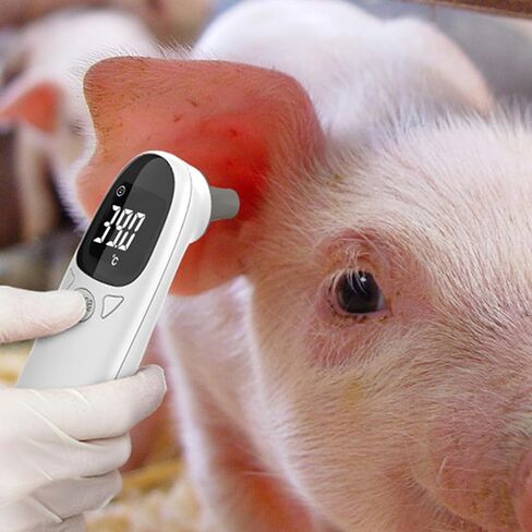 NonContact Animal Thermometers for Dogs Cats Fast Reading Rechargeable USB Charging Environment Temperature Monitor Portable Pet Thermometers for Cats Dogs in Saudi Arabia