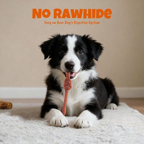 مضغ للكلاب بنكهة الفتوة يدوم طويلاً وخالي من الجلود الخام مقاس 7 بوصات من M-PETS - علاجات لطيفة وقابلة للهضم للكلاب المتوسطة/الكبيرة ذات المعدة الحساسة، بديل صحي لعصي الفتوة، 10 قطع in Kuwait
