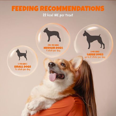 مضغ للكلاب بنكهة الفتوة يدوم طويلاً وخالي من الجلود الخام مقاس 7 بوصات من M-PETS - علاجات لطيفة وقابلة للهضم للكلاب المتوسطة/الكبيرة ذات المعدة الحساسة، بديل صحي لعصي الفتوة، 10 قطع in Kuwait