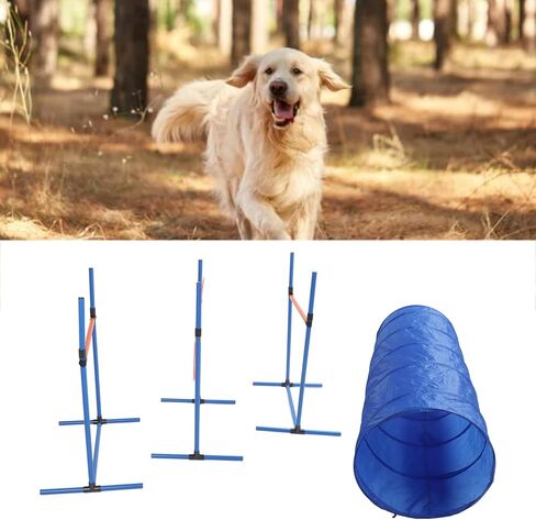 Generic Dog Agility Training Equipment 190t Polyester Fiber Collapsible Tunnel Jump Ring Poles Dog Obstacle Training Kit with Storage Bag for Yard Outdoor Tunnel, Jumping Hoop in Saudi Arabia