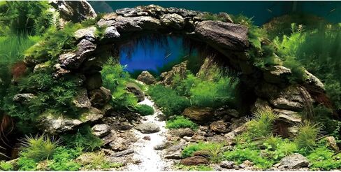 36x18 inches Arch Stone Aquarium Background River Bed & Lake Aquarium Polyester Backdrop Aquatic Plant Fish Tank Background in Saudi Arabia