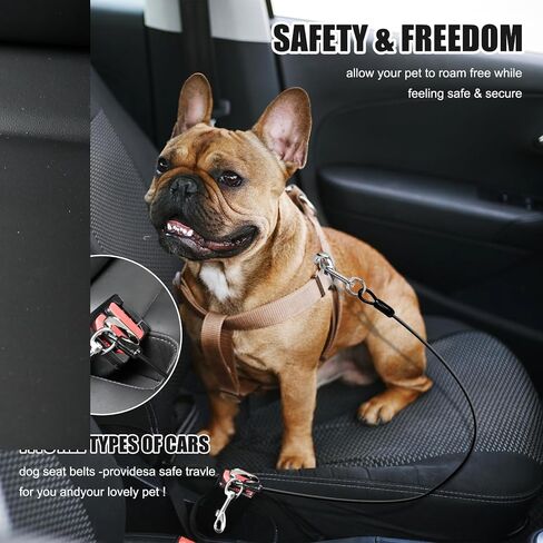 2 Pack Chew Proof Metal Dog Cable Lead, No Tangle Dog Leash Extender Leads for Small Medium Dogs Collar Harness (Double Hook) in Saudi Arabia