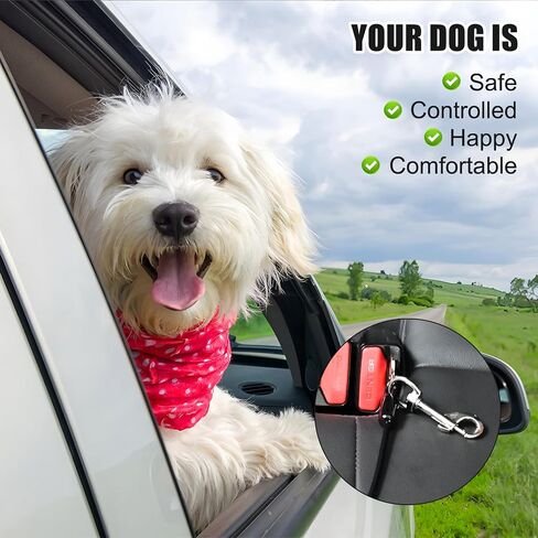 2 Pack Chew Proof Metal Dog Cable Lead, No Tangle Dog Leash Extender Leads for Small Medium Dogs Collar Harness (Double Hook) in Saudi Arabia