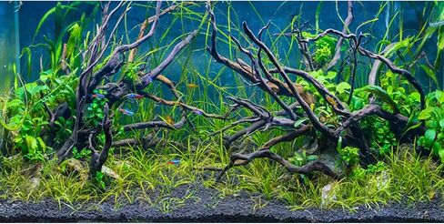 48x18 inches Tropical Fish Tank Background River Bed & Lake Aquatic Plant Undersea Tree Branch Aquarium Background Polyester in Saudi Arabia