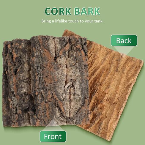 BESPORTBLE 4pcs Reptile Cork Bark Background Decor for Aquarium and Fish Tanks Natural Climbing Board for Gecko Lizard Frog Bearded Dragon Safe and Realistic Design in Saudi Arabia