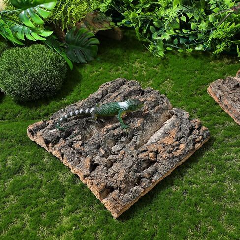BESPORTBLE 4pcs Reptile Cork Bark Background Decor for Aquarium and Fish Tanks Natural Climbing Board for Gecko Lizard Frog Bearded Dragon Safe and Realistic Design in Saudi Arabia