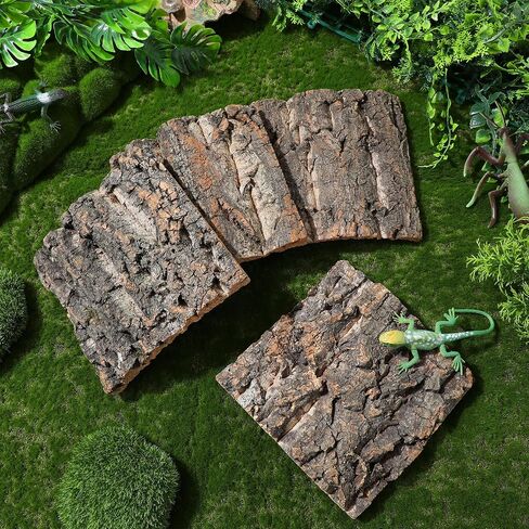 BESPORTBLE 4pcs Reptile Cork Bark Background Decor for Aquarium and Fish Tanks Natural Climbing Board for Gecko Lizard Frog Bearded Dragon Safe and Realistic Design in Saudi Arabia