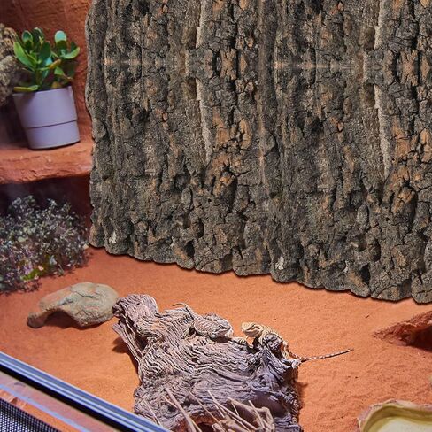 BESPORTBLE 4pcs Reptile Cork Bark Background Decor for Aquarium and Fish Tanks Natural Climbing Board for Gecko Lizard Frog Bearded Dragon Safe and Realistic Design in Saudi Arabia