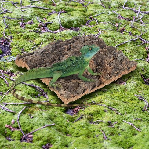 BESPORTBLE 4pcs Reptile Cork Bark Background Decor for Aquarium and Fish Tanks Natural Climbing Board for Gecko Lizard Frog Bearded Dragon Safe and Realistic Design in Saudi Arabia