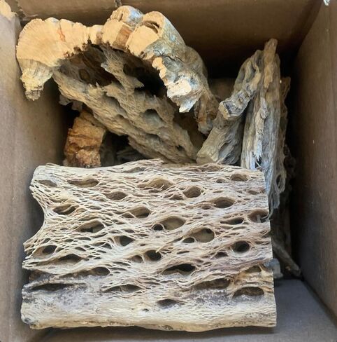 Teddy Bear Cholla Wood Shards – Natural Hermit Crab Treats & Habitat Enrichment for Reptiles, Fish, Small Pets, Birds & Aquariums (10 lb Box – Lengths up to 13") in Saudi Arabia