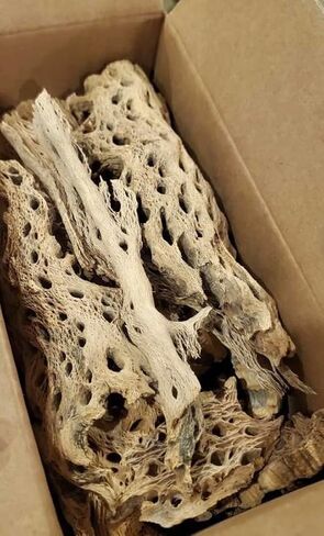 Teddy Bear Cholla Wood Shards – Natural Hermit Crab Treats & Habitat Enrichment for Reptiles, Fish, Small Pets, Birds & Aquariums (10 lb Box – Lengths up to 13") in Saudi Arabia