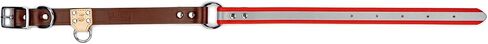 King Buck O Ring High Visibility Reflective Collar, Red, L in Saudi Arabia