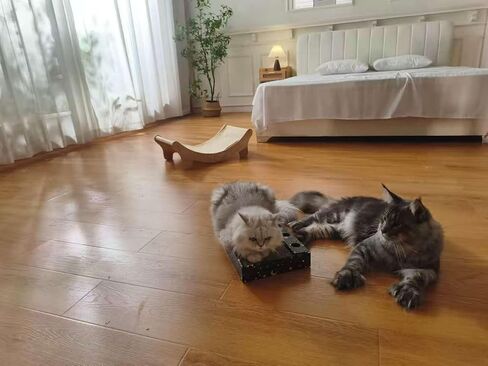 3 عبوات في 1 وسادة خدش للقطط - ورق مقوى لخدش القطط لحماية الأثاث، كل لوح خدش للقطط مع وسادتين من الورق المقوى المموج وجرس مرح in Kuwait