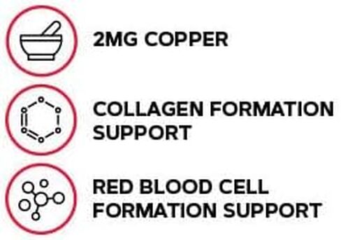 GNC Copper 2 mg 100 قرص نباتي in Saudi Arabia