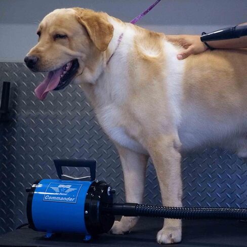 METROVAC AFTD-3V Air Force Commander Variable Speed Pet Grooming Dryer Purple | High Velocity Dog Hair Blower 4.0 HP USA in Saudi Arabia