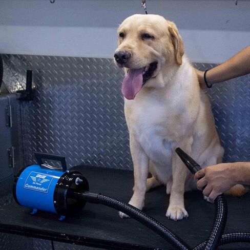 METROVAC AFTD-3V Air Force Commander Variable Speed Pet Grooming Dryer Purple | High Velocity Dog Hair Blower 4.0 HP USA in Saudi Arabia