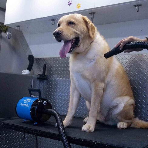 METROVAC AFTD-3V Air Force Commander Variable Speed Pet Grooming Dryer Purple | High Velocity Dog Hair Blower 4.0 HP USA in Saudi Arabia