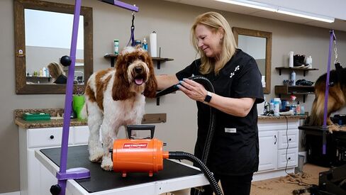METROVAC AFTD-3V Air Force Commander Variable Speed Pet Grooming Dryer Purple | High Velocity Dog Hair Blower 4.0 HP USA in Saudi Arabia