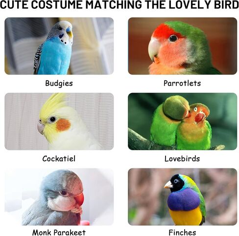 Cute Bird Costume, Parrot Cloak Cosplay Photo Prop, Bird Clothes for Budgerigar, African Greys Parakeet, Conure, Cockatiel, Mynah, Love Birds, Finches (Blue) in Saudi Arabia