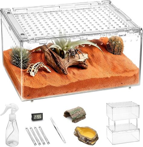 PC Small Reptile Terrarium Starter Kit,Magnetic Jumping Spider Enclosure,Hermit Crab Tank,Arboreal Tarantula Cage for Praying Mantis,Frog Vivarium,Lizard Container,Insect Housing,Gecko Habitat in Saudi Arabia