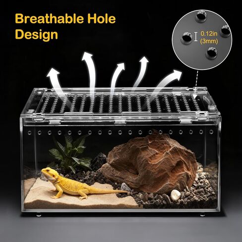 PC Small Reptile Terrarium Starter Kit,Magnetic Jumping Spider Enclosure,Hermit Crab Tank,Arboreal Tarantula Cage for Praying Mantis,Frog Vivarium,Lizard Container,Insect Housing,Gecko Habitat in Saudi Arabia