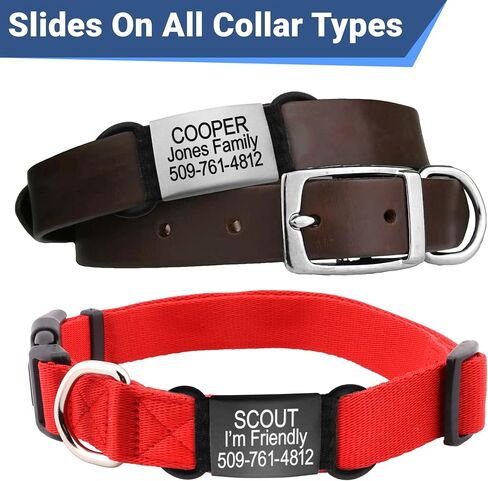 GoTags Silent Personalized Engraved Pet ID Dog and Cat Tags, Jingle Free Quiet Custom Name Tags (Silver, Medium) in Saudi Arabia