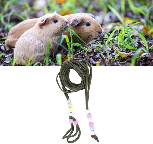Reptile Traction Leash Adjustable Beads Design Small Animal Traction Rope for Lizard Guinea Pig Hamster OD Green in Saudi Arabia