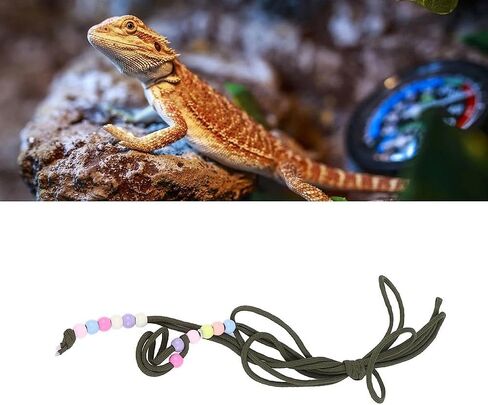 Reptile Traction Leash Adjustable Beads Design Small Animal Traction Rope for Lizard Guinea Pig Hamster OD Green in Saudi Arabia