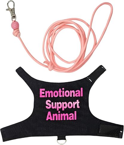 Comfortable Lizards Leashes Set Reptiles Outdoor Multicolor Light Traction Rope for Bearded Dragons and Other Lizards Pet Colorful Pet Harnesses in Saudi Arabia