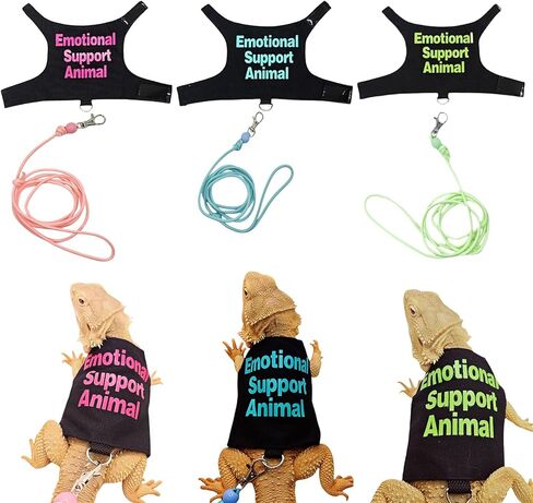 Comfortable Lizards Leashes Set Reptiles Outdoor Multicolor Light Traction Rope for Bearded Dragons and Other Lizards Pet Colorful Pet Harnesses in Saudi Arabia