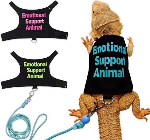 Comfortable Lizards Leashes Set Reptiles Outdoor Multicolor Light Traction Rope for Bearded Dragons and Other Lizards Pet Colorful Pet Harnesses in Saudi Arabia