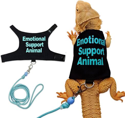 Comfortable Lizards Leashes Set Reptiles Outdoor Multicolor Light Traction Rope for Bearded Dragons and Other Lizards Pet Colorful Pet Harnesses in Saudi Arabia