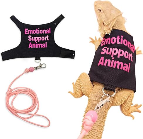 Comfortable Lizards Leashes Set Reptiles Outdoor Multicolor Light Traction Rope for Bearded Dragons and Other Lizards Pet Colorful Pet Harnesses in Saudi Arabia