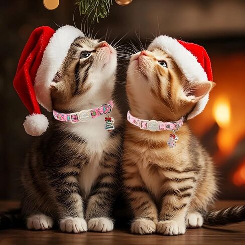 2 Pack Pink Cat Collars - Cute Bow & Daisy Breakaway Cat Collar with Bell & Matching Pendant, Soft Adjustable Spring Summer Girly Kitten Collars for Girl Cats in Kuwait