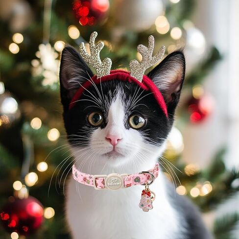 2 Pack Pink Cat Collars - Cute Bow & Daisy Breakaway Cat Collar with Bell & Matching Pendant, Soft Adjustable Spring Summer Girly Kitten Collars for Girl Cats in Kuwait