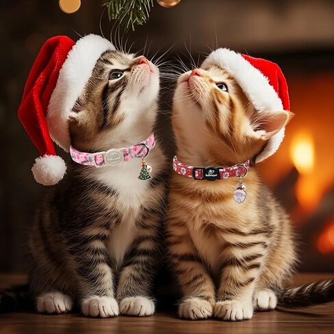 2 Pack Pink Cat Collars - Cute Bow & Daisy Breakaway Cat Collar with Bell & Matching Pendant, Soft Adjustable Spring Summer Girly Kitten Collars for Girl Cats in Kuwait