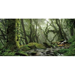 24X12 Inch Foggy Forest Terrarium Backdrop with Misty Stream and Ancient Tree - Tropical Reptile Habitat Background Durable Polyester Vivarium Decoration in Saudi Arabia