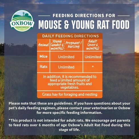 Oxbow Essentials Mouse & Young Rat Food, Pet Food for Rats & Mice, All-Natural Vitamin & Mineral Rich Formula, Veterinarian Recommended, Oxbow, Rodent Pellets, Made in USA, 2.5 lb Bag in Saudi Arabia