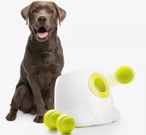Infrared-Protected Automatic Dog Ball Thrower – 2 Charging Ways for Indoor & Outdoor Bonding in Saudi Arabia
