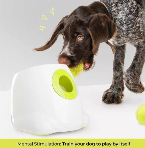 Infrared-Protected Automatic Dog Ball Thrower – 2 Charging Ways for Indoor & Outdoor Bonding in Saudi Arabia