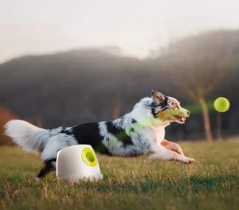 Infrared-Protected Automatic Dog Ball Thrower – 2 Charging Ways for Indoor & Outdoor Bonding in Saudi Arabia
