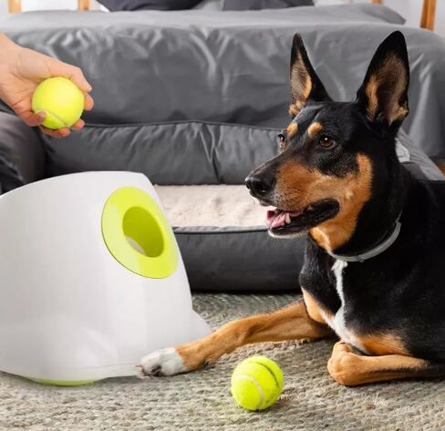 Infrared-Protected Automatic Dog Ball Thrower – 2 Charging Ways for Indoor & Outdoor Bonding in Saudi Arabia