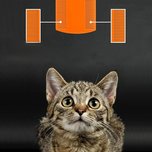 Flea Comb for Cats, 4 Pcs Lice for Dogs, Double Sided Cat for Short Hair of Pets or Humans in Saudi Arabia