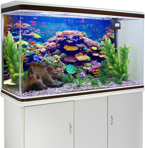 خلفية حوض السمك موضوع تحت سطح البحر 24x12 بوصة البوليستر الملونة المرجان الأسماك الاستوائية تحت الماء خلفية خزان الأسماك العالم in Saudi Arabia