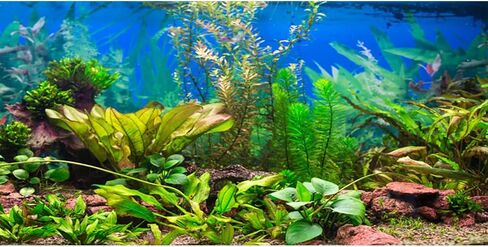 30x12 inches Aquarium Background Aquatic Plant River Bed & Lake Fish Tank Background Polyester in Saudi Arabia