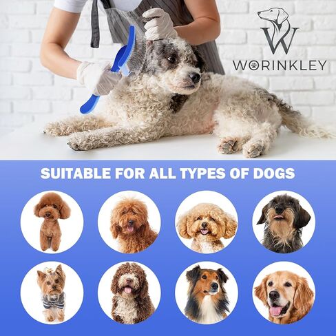 فرشاة Slicker للكلاب، فرش احترافية للعناية بالحيوانات الأليفة من أجل Goldendoodles، Labradoodles، Poodles - دبوس طويل لفك تشابك فرشاة إزالة تشابك الكلاب - كبيرة in Saudi Arabia